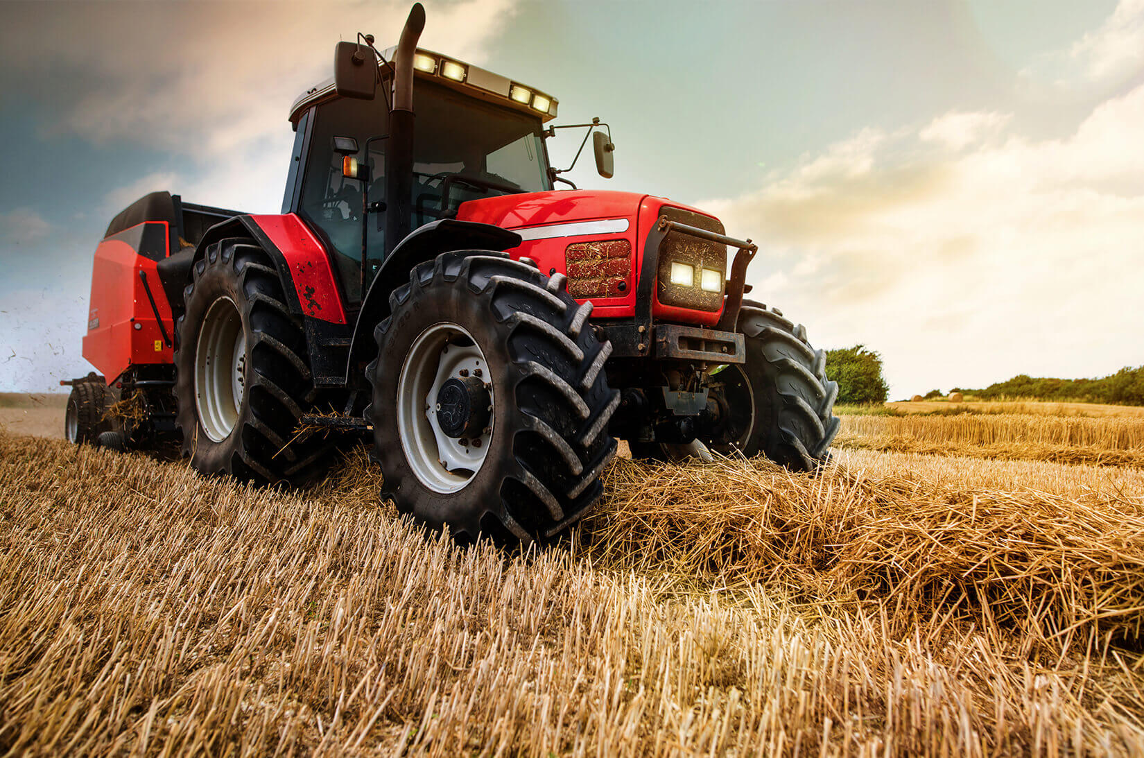 TMJ Auctions Marketing Production Agriculture and Cattle Equipment