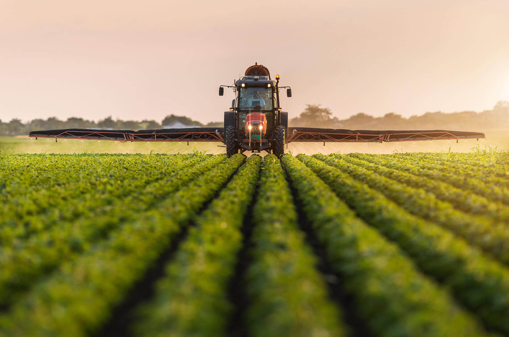 Tractor Sprayer